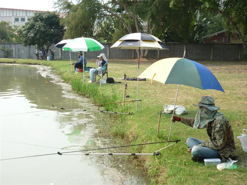 ย้ายมายึดหัวหาดฝั่งนี้ลองดู 