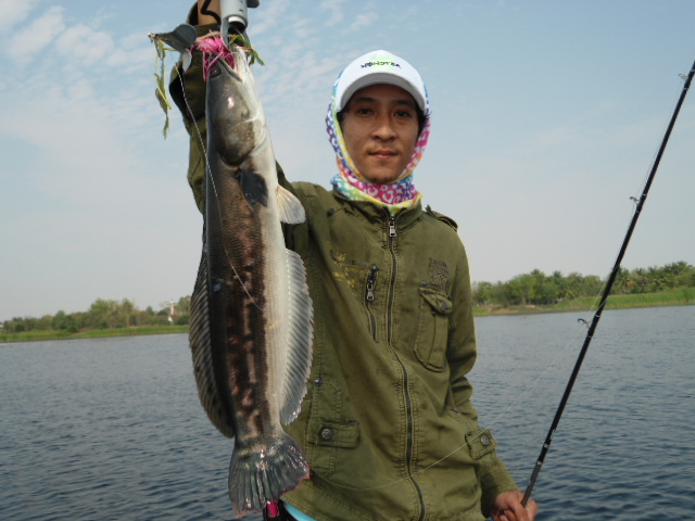  [b]ขอหลายภาพหน่อย[/b]