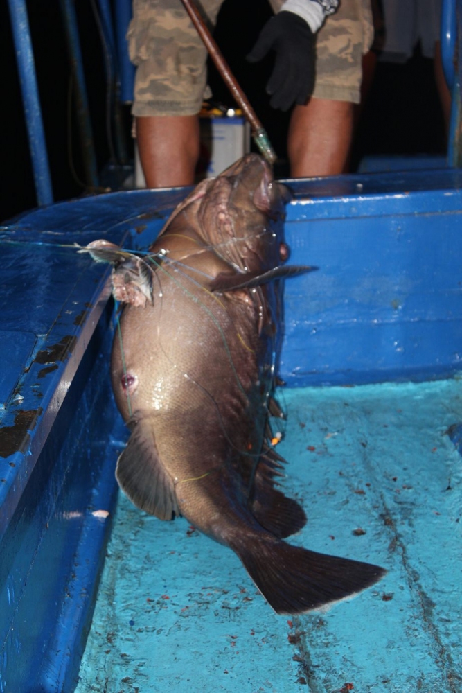 ท้ายเรือมีมาเพิ่มอีกแล้ว :laughing: :laughing: :laughing: