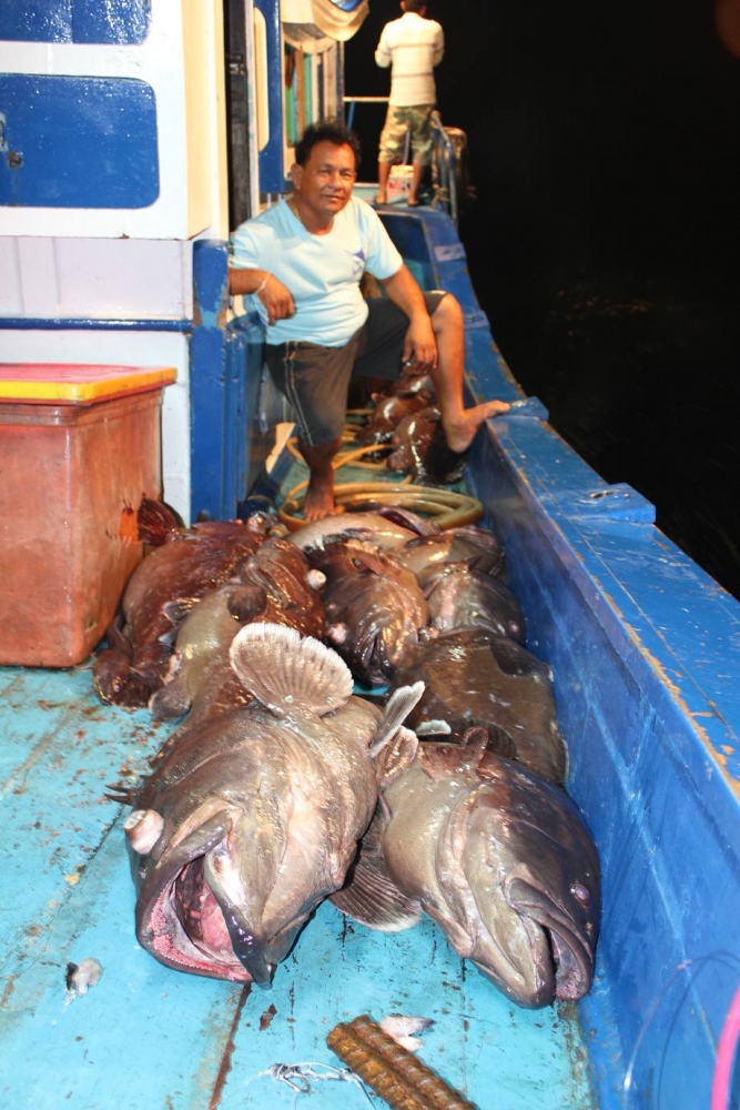 กะรันตีได้ครับสำหรับไต๋คนนี้ชั่วโมงกว่าๆๆทำได้ :love: :love: :love: :love: