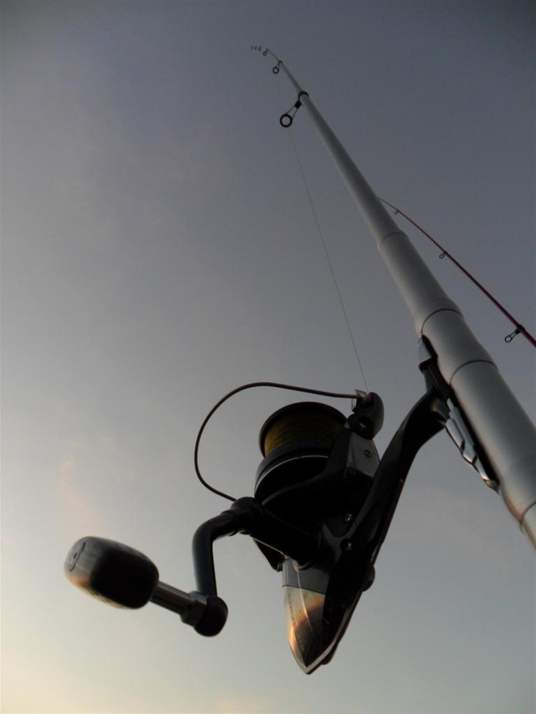 Rod : Shimano Spinjoy XT 450