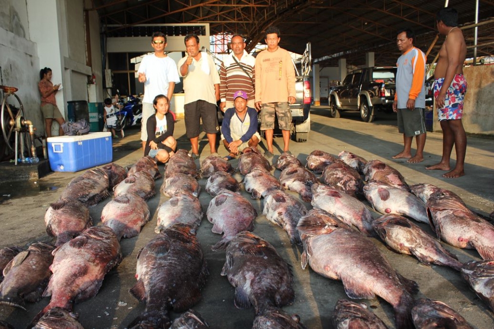 และขอปืดทรีปนี้และลากันด้วยภาพนี้นะครับ
ขอบคณุเวปสยามที่มีพื่ฃ้นที่ให้เราแบ่งบันความรู้และความสนุก
