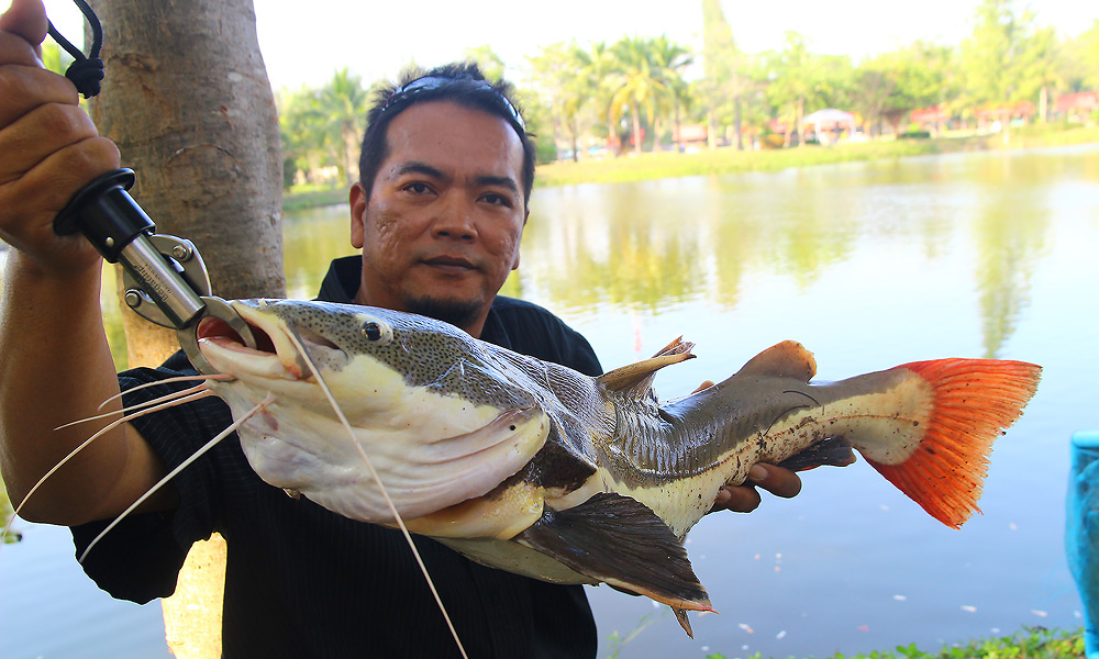 มาชมกันต่อครับ :grin: