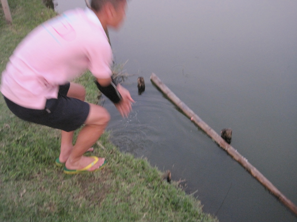 ปล่อยครับตามระเบียบ