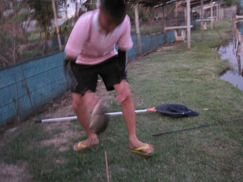 ดูสิจับกล้องแทบไม่ทัน :laughing: :laughing: