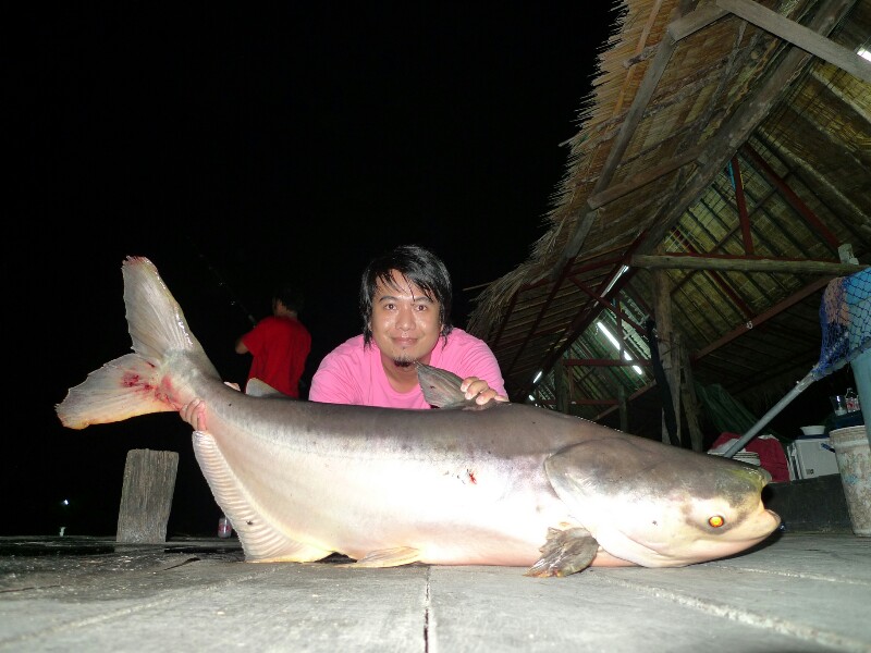 กิ๊ว กิ๊ว