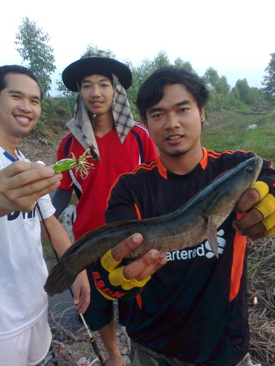 กับลูกศิษย์ น้องเท่ห์ และน้องชาย
13/2/55 ไปจัดเพิ่มมาอีก2ครับ