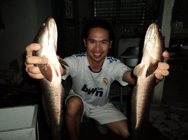 ACTION