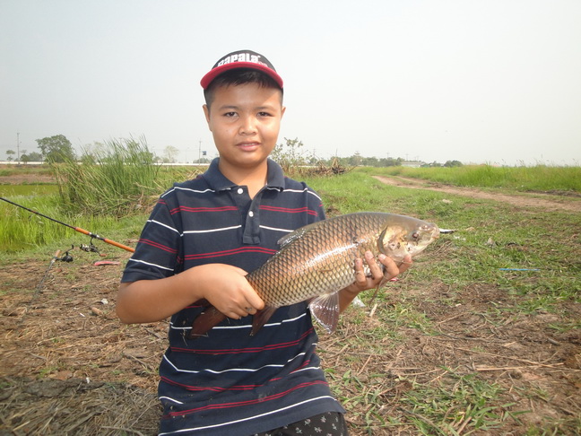 [q][i]อ้างถึง: billysj413 posted: 15-02-2555, 13:10:55[/i]

ขอติดตามด้วยคนนะครับน้า 
กำลังเรียนรู