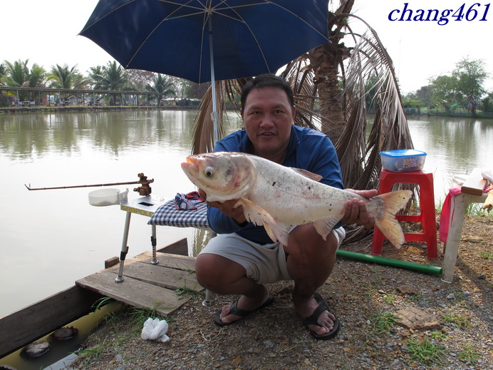 และแล้วของเราก็ผมคิดว่ามันยัcheerงพอมีตัวอยู่นะมันค้นหาขอลาด้วยภาพนี้นะครับขอบคคุณที่เข้ามาชม :: :ch