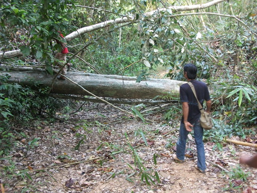 ขออภัยอีกครั้งนะครับพอดีมีงานด่วนเข้ามา..ต้องไปตรวจการกองปะการังเทียมในเขตรับผิดชอบ.. เอ้า...!!! มาต