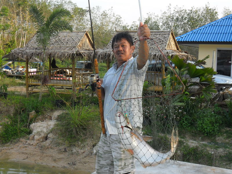 -------- เร็วๆ นี้ ที่ จ.พัทลุง ---------  (ภาค 2 ตอนเย็น) 