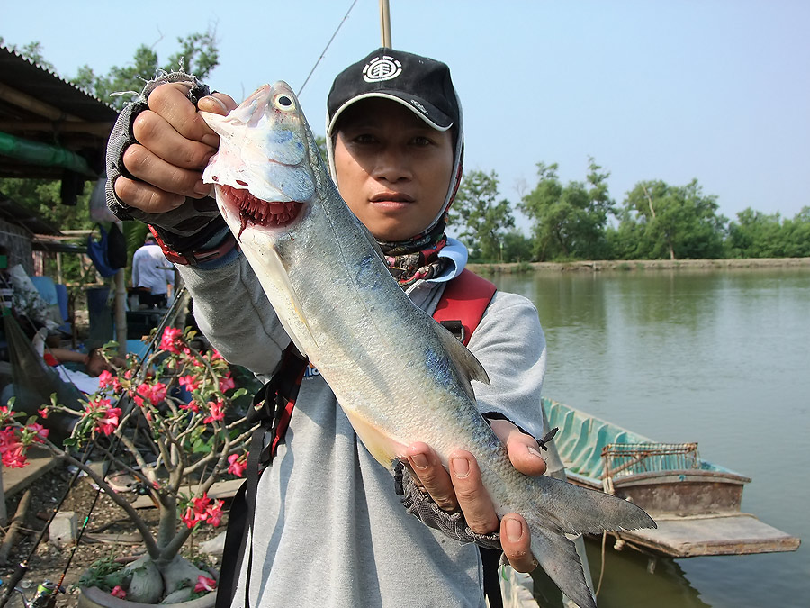 [b]น้าโข่งปลายาง ก็ไปได้ กุเรา จากด้านในมาครับ อิอิ[/b]
:cool: :cool: :cool: :cool: :cool: :cool: :
