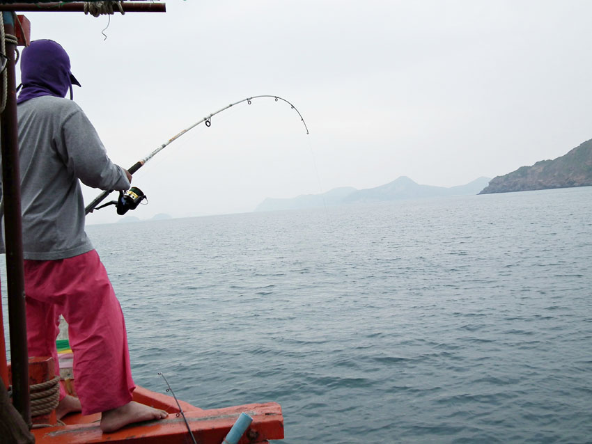  :grin: พอปลามันเข้ามาใกล้ลำเรือ ปลามันก็จะพาสายวิ่งออกไปให้ห่างจากลำเรืออีก เหมือนกับไต๋บอกผมใว้เลย