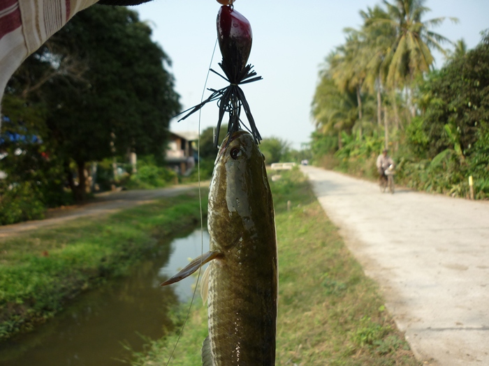 ตีเลาะข้างหญ้าคับหมายแบบนี้ :grin: