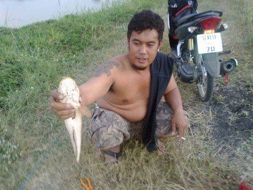 ตัวนี้ของลูกน้องครับ