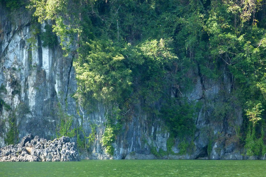 เกาะเรือน้าเว่นไปชมความงาม

รู กระสูบเพียบ ได้ตัวไซส์โลมาดูเล่น ดั๊นไม่ได้ถ่ายไว้  :laughing: