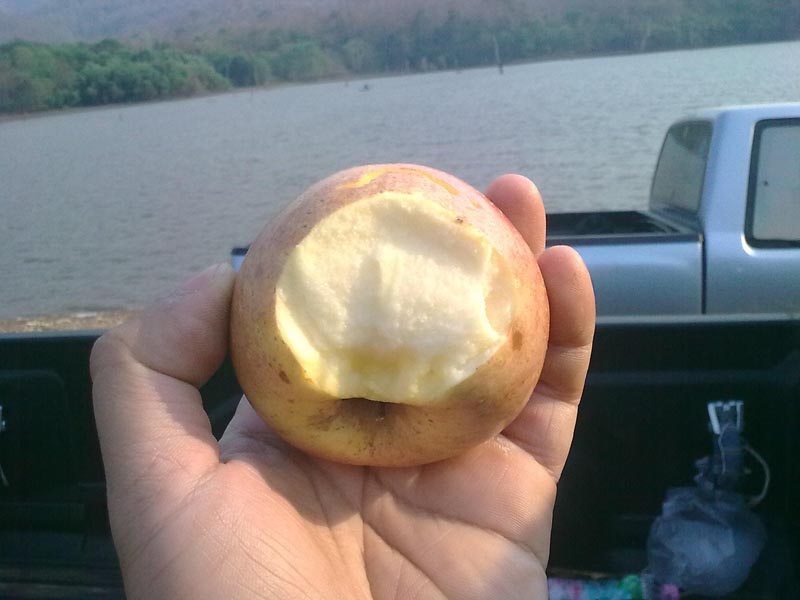 IPhone      อร่อย ดับกระหายได้ดี    กระทิงแดงสักขวดก็ยังดี   :umh: :umh: :laughing: :cheer: :cheer:
