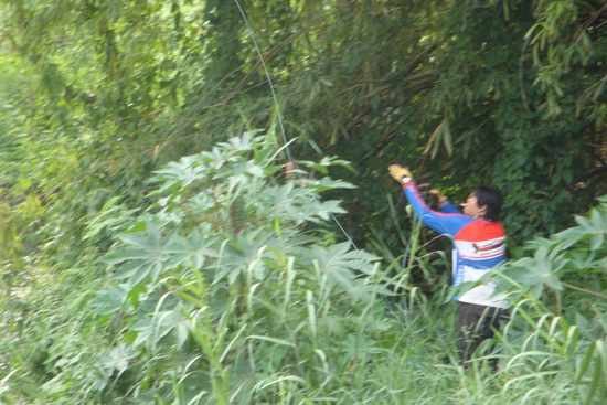 ยังงี้ต้องสอยยยยย.... :laughing: :laughing: :laughing: :laughing: