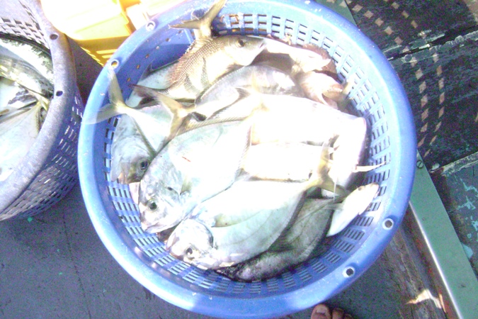 เช้านี้ไอ้เปียหลายตะกร้า......กินรอบลำเรือ

