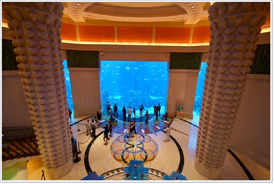 อะควาเรี่ยมในโรงแรมatlantis  :cheer: