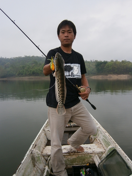 ขึ้นมาโชว์ตัวแล้ว เล็วกว่าตัวแรกนิดนึง (ปลารับแขกจะได้ไม่เหงา)
