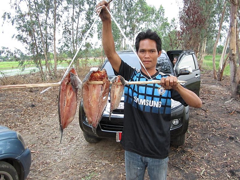 นาย แป กับ ปลาแดด เดียว  