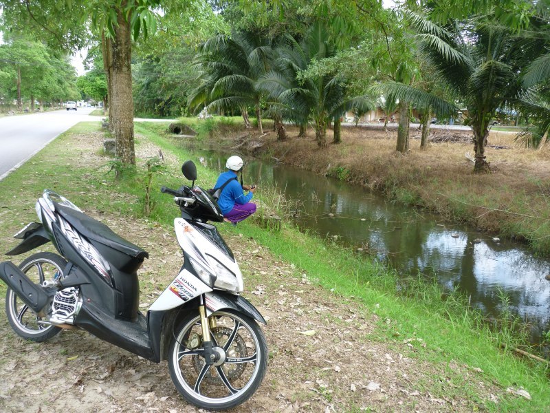 หาต่อไปดีกว่ารอดแล้วถ่ายรูปให้ด้วยนะพี่
