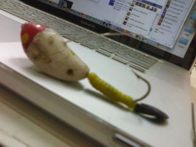 

ดูหน้าตาเหยื่อเจ้าตัวที่ทำให้ผมกินแห้วซะก่อน............หน้าตามันไม่น่ามีปลามาพิศวาสเลยว่ามั้ย..