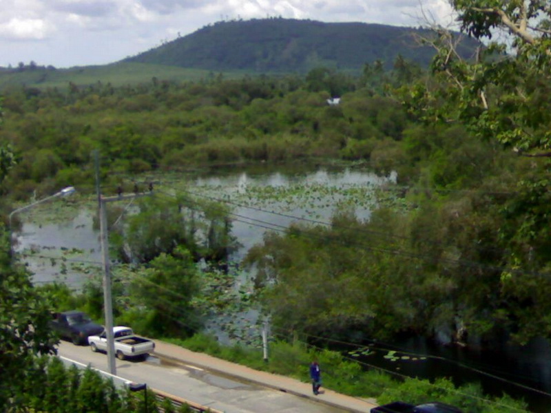 


สภาพหมายเป็นป่าบัว.....สวยมากมายขอบอก..................
