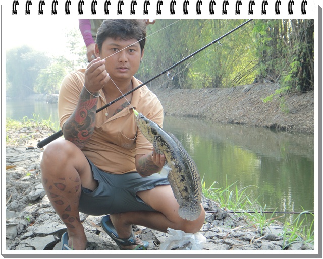 สวยจัง...

[q][i]อ้างถึง: FiShinGPex posted: 22-02-2555, 16:59:06[/i]

 :prost: :prost:+1 ครับน้