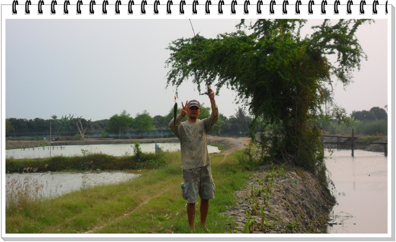 จัดไปลุงอึ่ง 3ตัวติดเลย....

[q][i]อ้างถึง: ยาวTiger posted: 22-02-2555, 19:14:53[/i]

ตามชมผลงา