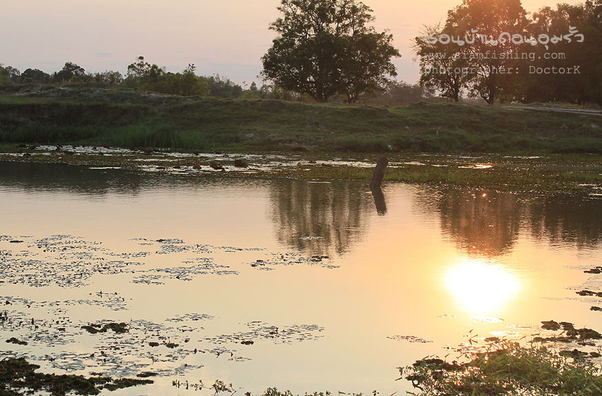 Catch & Release "ช่อน บ้านดอนอุ่มรั้ว"