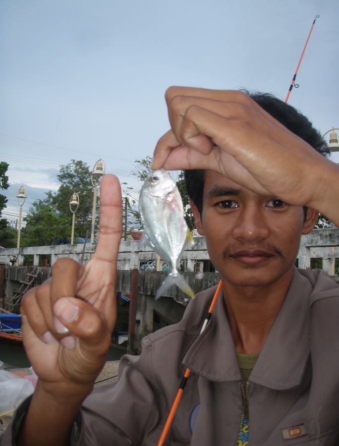 ภาพ --  แนน กองปราบปลา
นายแบบ --  ตอง  ทีมงานผมเอง
สถานที่  --  ท่าเรือคลองมุดง ภูเก็ต 
ชนิดปลา -