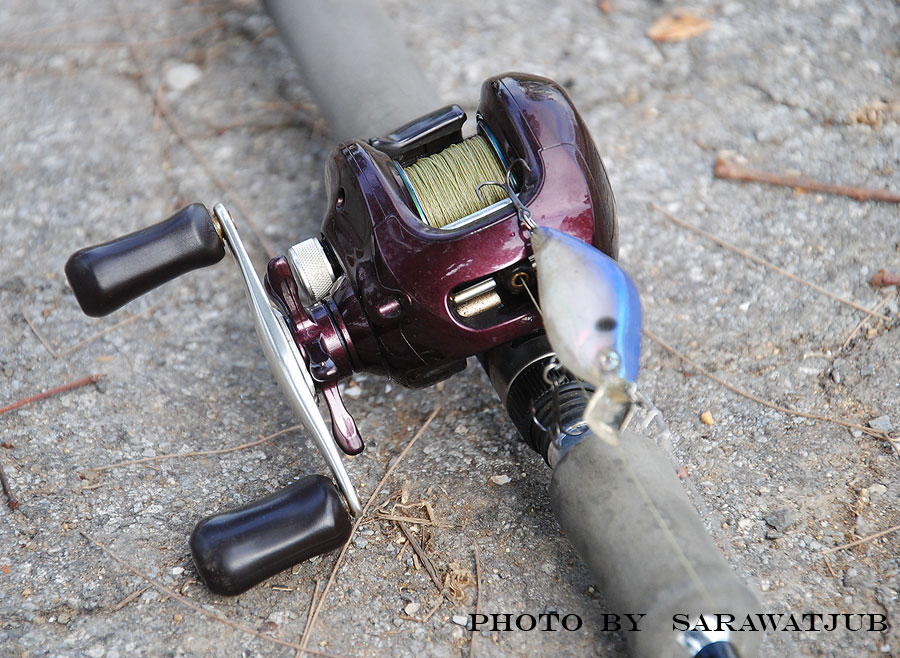 คราวนี้ใช้  เหยื่อดำตื้น  flat  crank  ของ duel  ดูบ้างครับ
