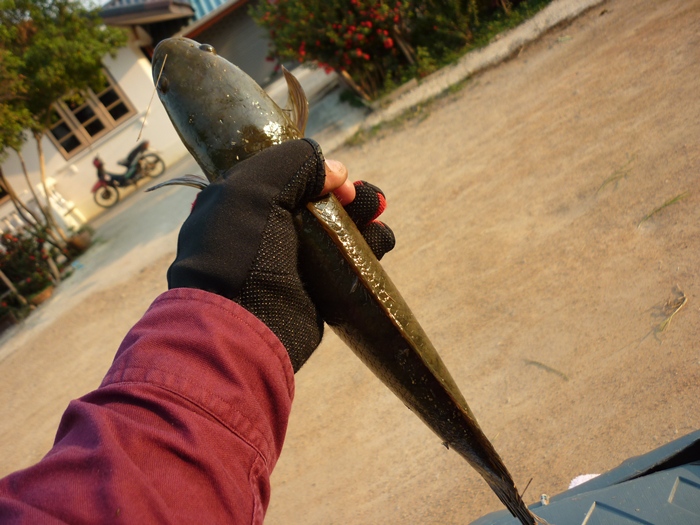 เต็มมืออีกแล้ว :grin: :grin: