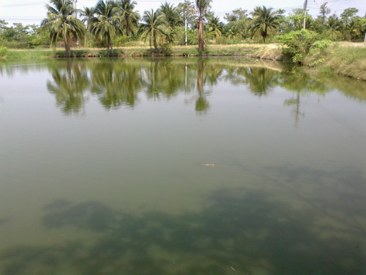 [b]นี่คือที่ทำงานนะครับ อย่าเข้าใจผิดว่าเป็น Fishing Park เพราะหมายสวยจริงๆ[/b]

 :love: :love: :l