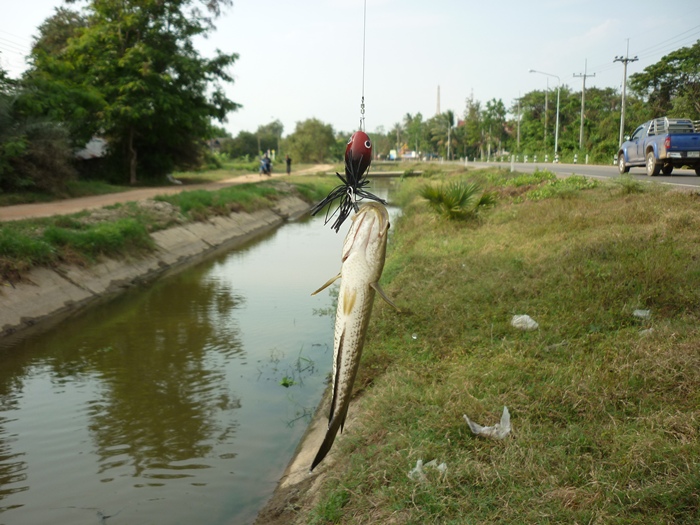 ตัวน้อยๆ :grin: