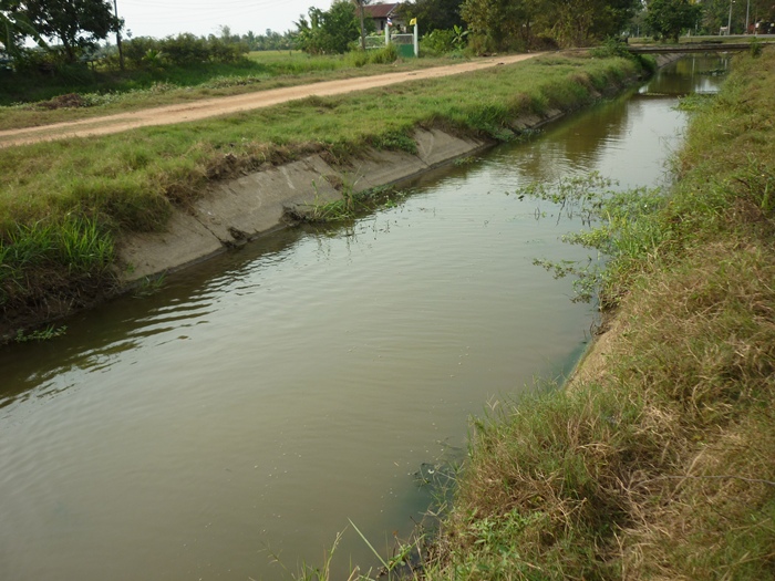 ดูสภาพคลองน้ำไม่ค่อยดีเลย