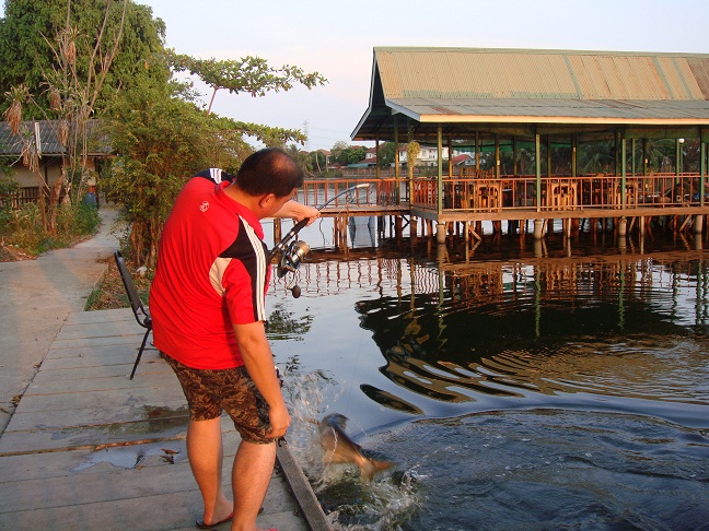 แค่รั้งคันไว้เฉยๆ ยังกระโดดโชว์ตัว  :laughing: :laughing: :laughing: