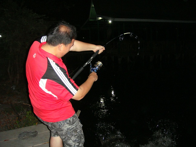 action สวยๆ  :grin: :grin: :grin: