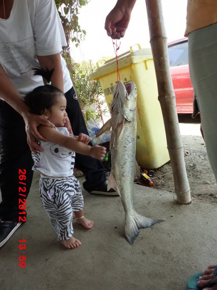 กุเรา...เล็กๆๆ
