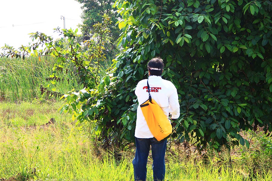 เต็มที่เลยคร้าบบบเพ่อ่ำ ใส่เสื้อแอคชั่น ลัวร์ มาซะด้วยยยยยยยยยย  :grin: :grin: :grin: