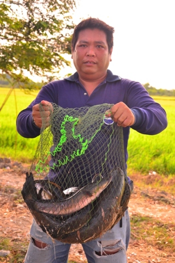 เนื้อเรื่องไม่มี ถ่ายมาให้เขาดูดครับ เป็นทริปปลาช่อนค้างปี หาเพื่อขุดแห้ว แต่ดันมีแต่มือแข็งๆ :grin: