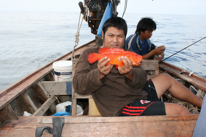 แล้วผมก็เอาปลามีพิษขึ้นมา:umh:
ถ่ายให้คนอื่นมาเยอะขอหล่อสักรูป  :grin:
ปล.ตอนที่โพสนี้ปลาตัวนี้ได้