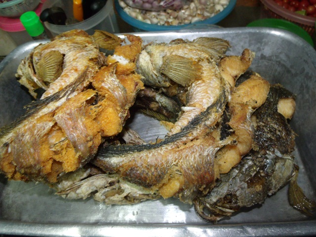 ช่อนกรอบๆ