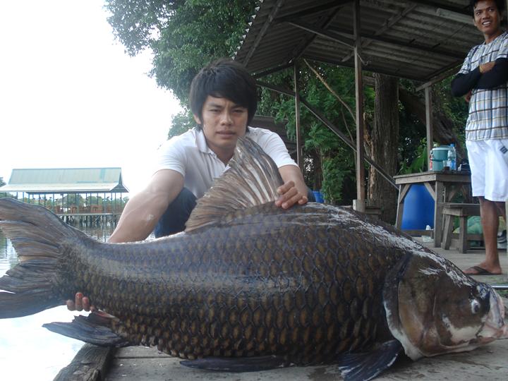 [q][i]อ้างถึง: amm posted: 29-02-2555, 14:39:46[/i]

[q][i]อ้างถึง: jackky posted: 29-02-2555, 14: