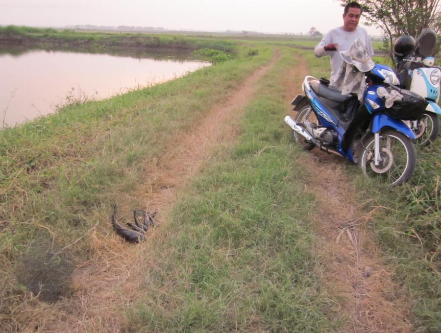 เดี๋ยวค่อยทักทายรวมๆเลยนะครับ

 :laughing: :laughing: