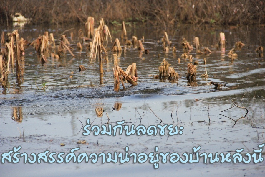 ### เรามาร่วมกัน ลดความเห็นขยะ กันดีมั้ยครับ ###