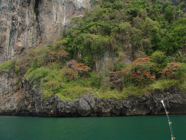 เข้าขออนุญาตที่เกาะเภตรา เพราะเกาะนี้มีสัมปทานรังนก ดังน้นต้องขอเจ้าถิ่นก่อน

เดี่ยวไม่ขอเป็นเรื่อ